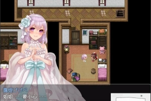 【PC/2D/精品RPG/汉化/全CV】阿尔迪亚塔 Tower of Ardia 精翻汉化版+存档【1.2G】-瑞泰资源分享网