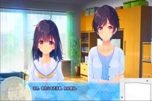 【PC/2D/RPG/中文】童貞兄妹:无法忍耐的哥哥和不直率叛逆妹妹官中+END【3.2G】-瑞泰资源分享网