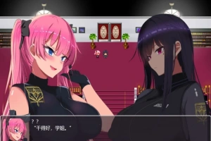 【PC/2D/RPG/汉化】揉便器工厂间灭队 云翻汉化版【1G】-瑞泰资源分享网