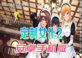 【COM3D2全中文版本】3D定制女仆2安卓手机版，ACG游戏中3A级手游品质！-瑞泰资源分享网