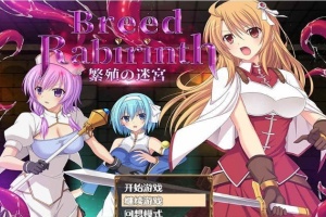 [探索RPG/汉化]繁殖の迷宮 – Breed Labyrinth 云翻汉化版[PC+安卓][百度][700M]』-瑞泰资源分享网