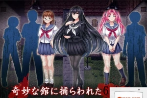 【PC/2D/RPG/汉化/全CV】於某館中 或る館にて 精翻汉化版+全存档【1G】-瑞泰资源分享网